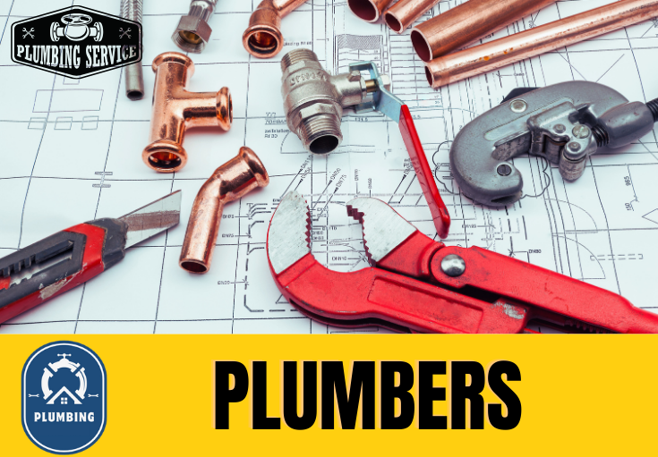  plumber Davington